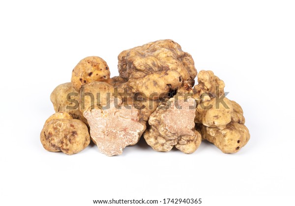 White truffle Tuber Magnatum\
Pico.