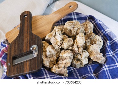 White truffles on the typical cloth trunk, with truffle cut in wood, from the Langhe Alba in Piedmont Italy.