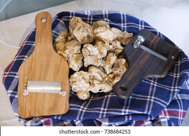 White truffles on the typical cloth trunk, with truffle cut in wood, from the Langhe Alba in Piedmont Italy.