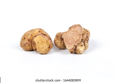 White Truffles Tuber Magnatum Pico