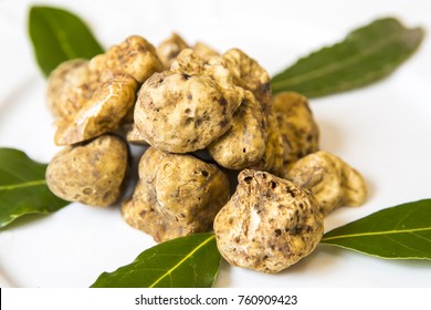 white truffles un white
