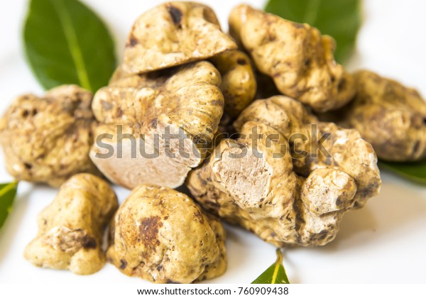 white truffles un\
white\

