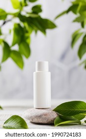 A White Tube Of Cosmetics On A Stone Among The Leaves. The Concept Of Natural Plant Cosmetics. Mockup.