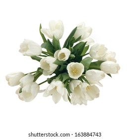 White Tulips Background 