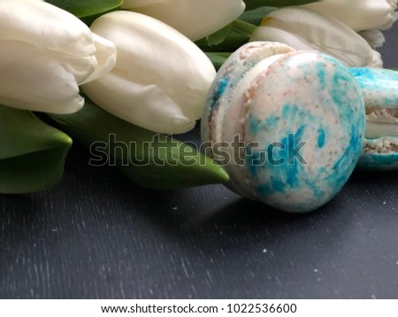 white tulips and blue cosmic macaroons on black background. spring flatlay