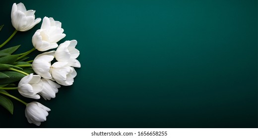 White tulips on green background top view. Happy spring Holidays. Valentine's day. Birthday. Women's day. Easter. Flower wedding card, invitation, banner