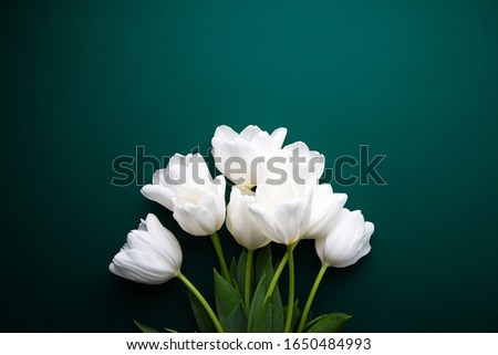 Similar – Image, Stock Photo row arrangement Plant