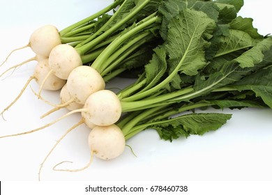 White Turnip