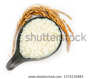 White uncooked or raw rice in black   bowl and dry ear of paddy isolated on white background. Healthy food and diet concept. Top view. Flat lay.