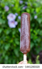 White Vanilla Ice Cream On Popsicle Stick Covered With Chocolate Icing And Frozen Water Drops In The Summer Outdoor. Green Background.