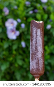 White Vanilla Ice Cream On Popsicle Stick Covered With Chocolate Icing And Frozen Water Drops In The Summer Outdoor. Green Background.