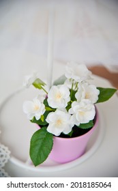 White violet flower in a pink pot stands on a white table inside the interior. 