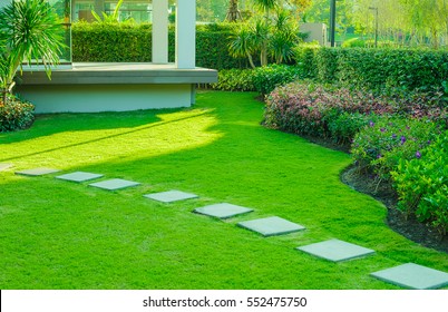 White walkway sheet in the backyard garden, green grass with cement path Contrasting with the bright green lawns and shrubs, shadows, trees, and morning sun Garden landscape design, lawn care service.