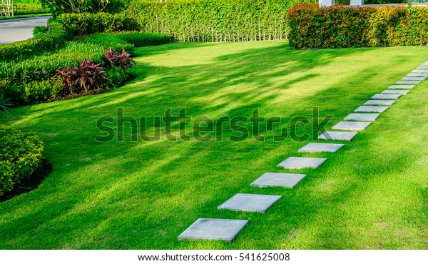 White walkway sheet in the garden, green grass
with cement path  Contrasting with the bright green lawns and
shrubs, shadows, trees, and morning sun Garden landscape design,
lawn care service.