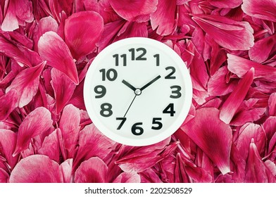 White Wall Clock On Pink Background Of Blooming Flowers Petals. Close Up Spa Salon, Time Management Concept. Daylight Saving Time. Spring Or Wedding. Womens Day Beauty Retreat