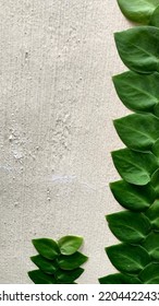 White Wall With Green Vines Beside The Image For Phone Wallpaper. Negative Space For Text