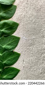 White Wall With Green Vines Beside The Image For Phone Wallpaper. Negative Space For Text