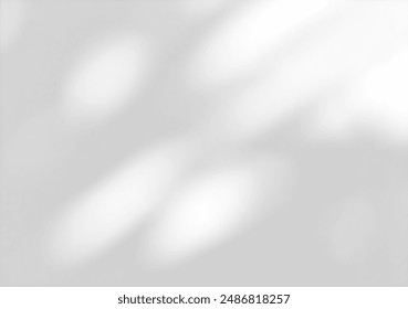 White wall with shadow of leaves overlay. Sunlight effect shadow on the wall. Minimal blurred backdrop backgrounds. Summer tropical surface background.