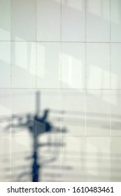 
White Wall And Shadow Of Telephone Pole                               