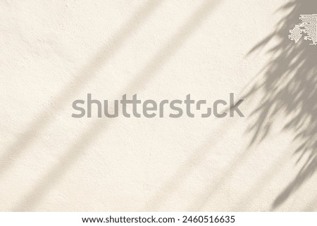 A white wall with a shadow of a tree shadow texture background