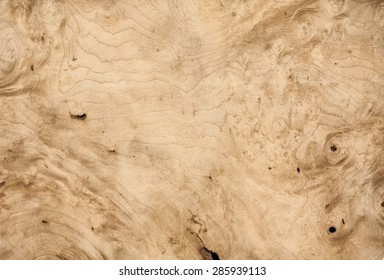 White Walnut Wood Texture