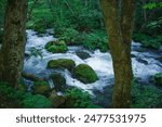 White water streaming around mossy rocks in the deep summer mountains of Aomori Prefecture, Japan.