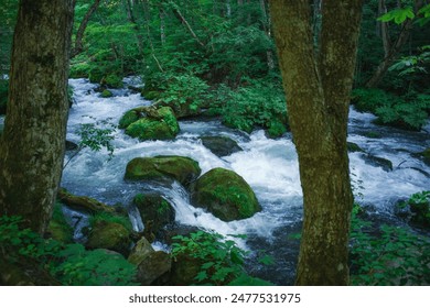 White water streaming around mossy rocks in the deep summer mountains of Aomori Prefecture, Japan. - Powered by Shutterstock