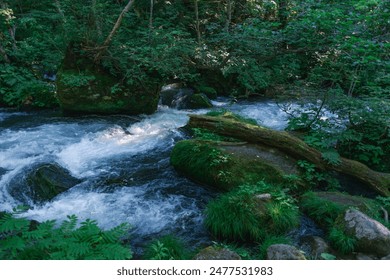 White water streaming around mossy rocks in the deep summer mountains of Aomori Prefecture, Japan. - Powered by Shutterstock