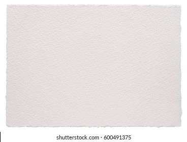 White watercolor paper sheet with a torn edges from all sides. Isolated on white. Art paper high quality texture in a high resolution.