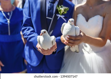 coince dove weddings rings