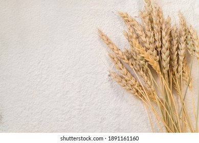 white wheat flour background with yellow wheat ears copy space