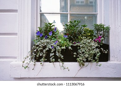 Flower Planter Outside Window Images Stock Photos Vectors Shutterstock