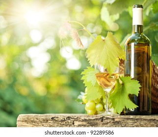 White Wine Bottle, Glass, Young Vine And Bunch Of Grapes Against Green Spring Background