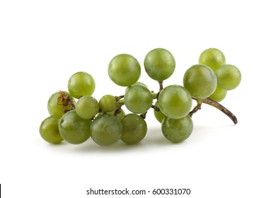 White Wine Grape