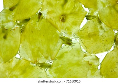 White Wine Grapes Crushed With Juice And Bubbles On White