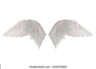 Angel Wings Isolated On Black Background Stock Photo 74346922 