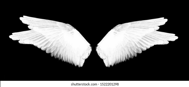 white wings on a black background