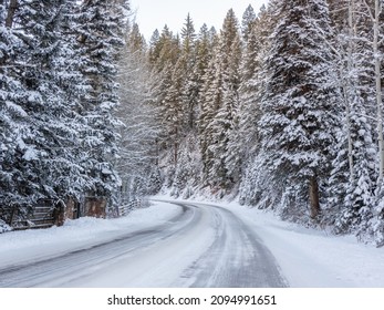 White Winter In Aspen Colorado