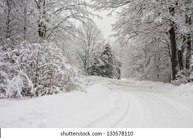 White Winter Landscape In Canada With Trees Covered In Snow And A Winding Road