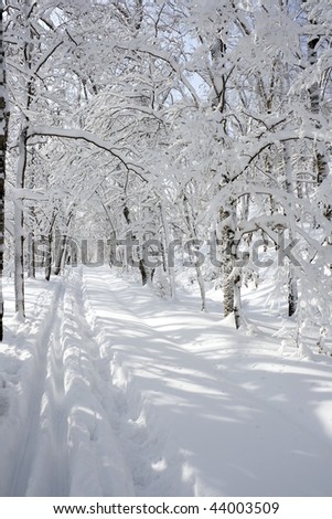 Similar – Image, Stock Photo Tracks in the snow Winter