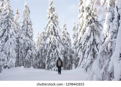 White winter in mountains