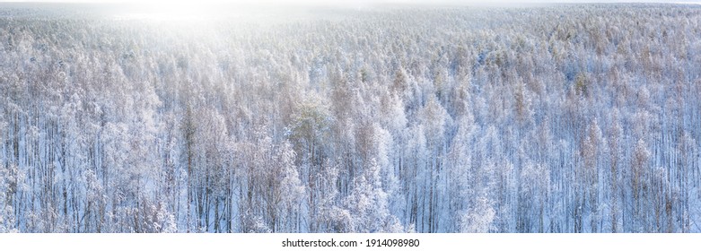 White winter snow covered mixed forest aerial panoramic view. Large and wide aerial landscape, high key image - Shutterstock ID 1914098980