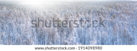 White winter snow covered mixed forest aerial panoramic view. Large and wide aerial landscape, high key image