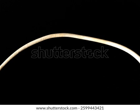 White wire cable of usb and adapter isolated on black background. Black usb cable is an electronic connector or used for data transfer and charging.