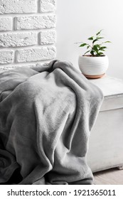 White wooden box with gray soft fleece blanket and young Ficus plant in white flower pot on it. White wall with bricks on background. 