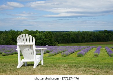 106 Quebec Provence Images, Stock Photos & Vectors | Shutterstock