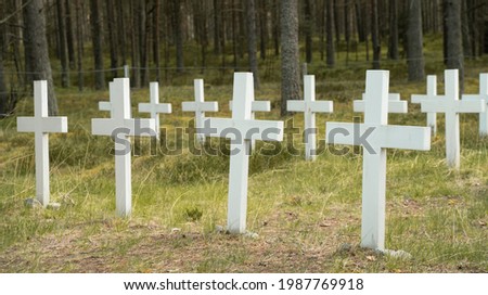 White wooden crosses in the forest grave yard. Unnamed graves of soliders who died in II WW. Pine forest around the old cemetary. White croesses lined up. Old crosses memorating sunk war ship