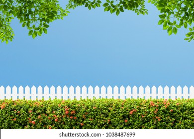 White wooden fence and Green bush wall with a blue sky background in the park