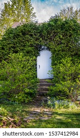 White wooden garden door through a living hedge fence atop stone stairs