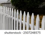 White Wooden Picket Fence Enclosing Yard With Plants Watsonville California